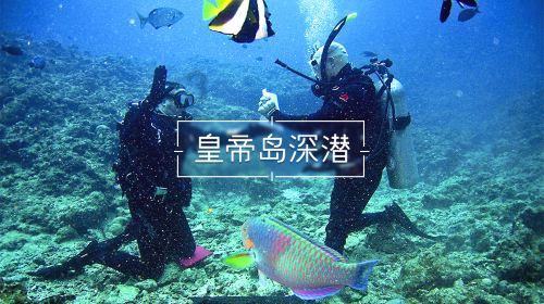环世界